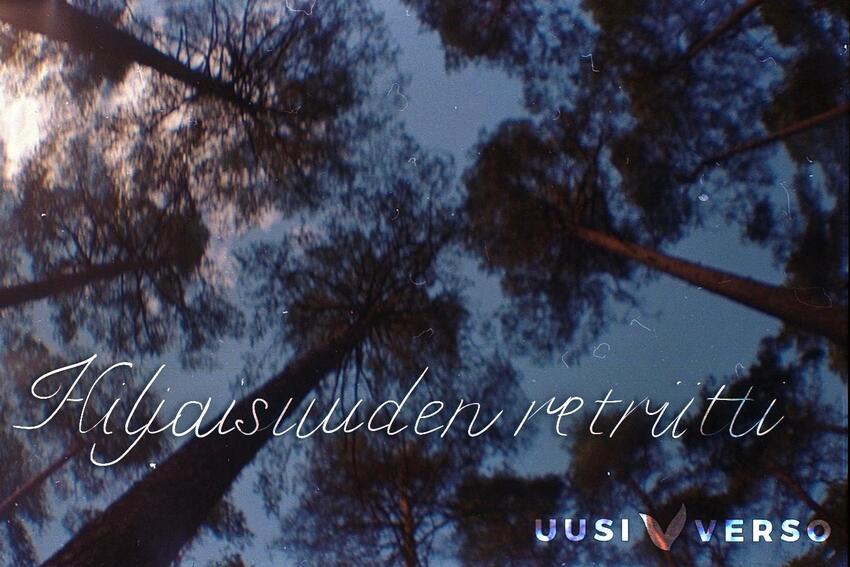 Hiljaisuuden retriitti. Kuvassa taivasta kohti ojentuvia puunlatvoja
